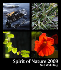 Calendar 2009 Calendar 2009