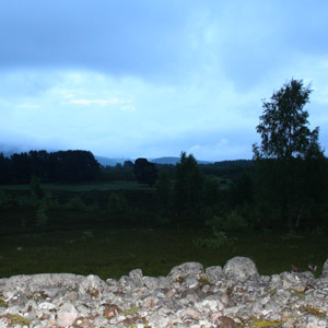 summer solstice 2007